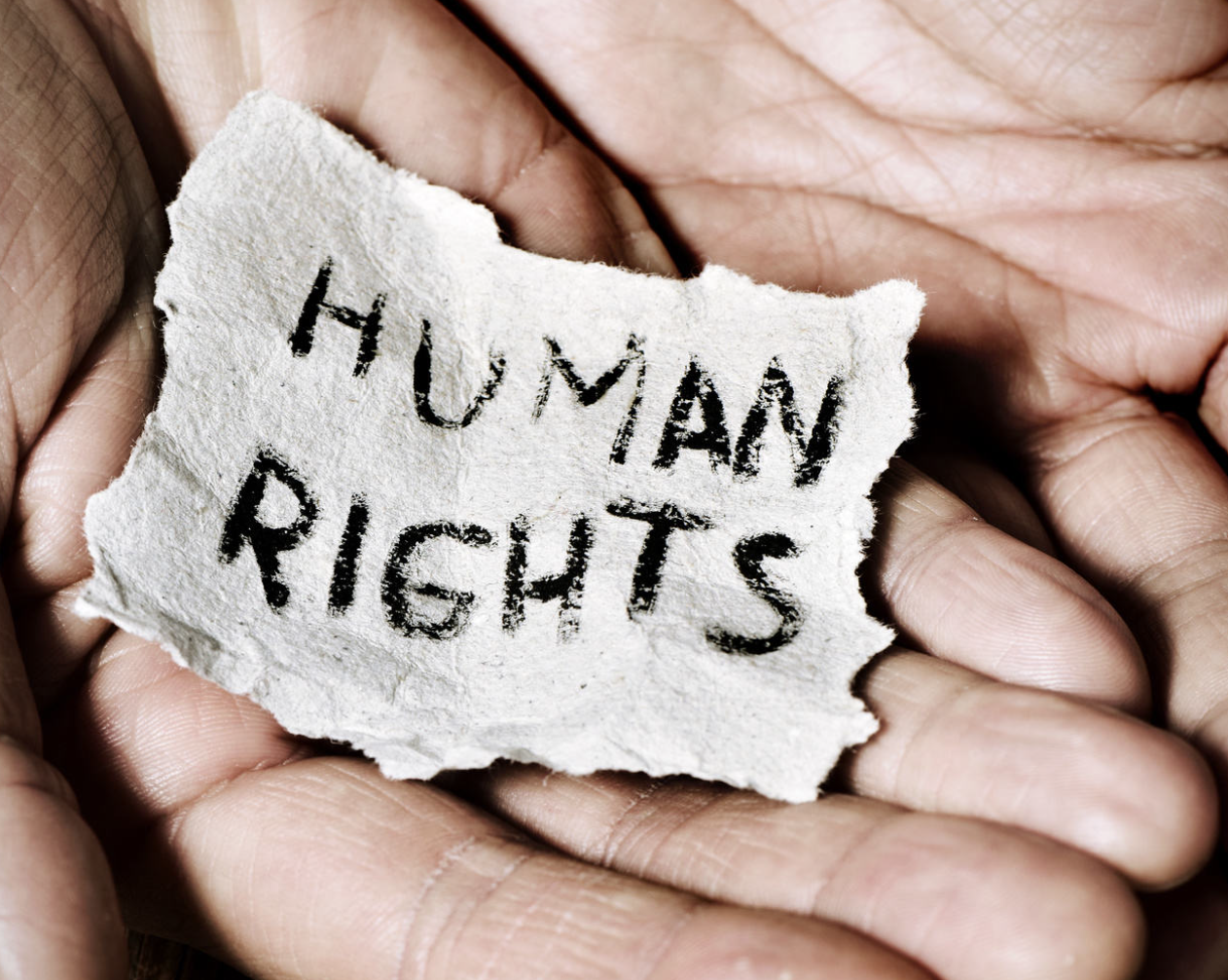 Human Rights and International Criminal Law