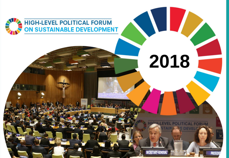 Synthesis of Voluntary National Reviews 2018