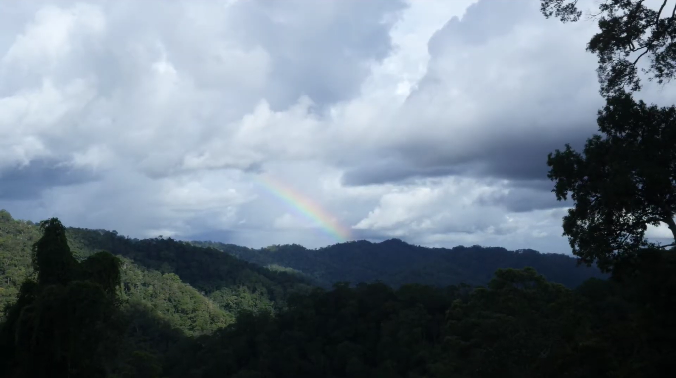 Sustainable Development Finance in Indonesia