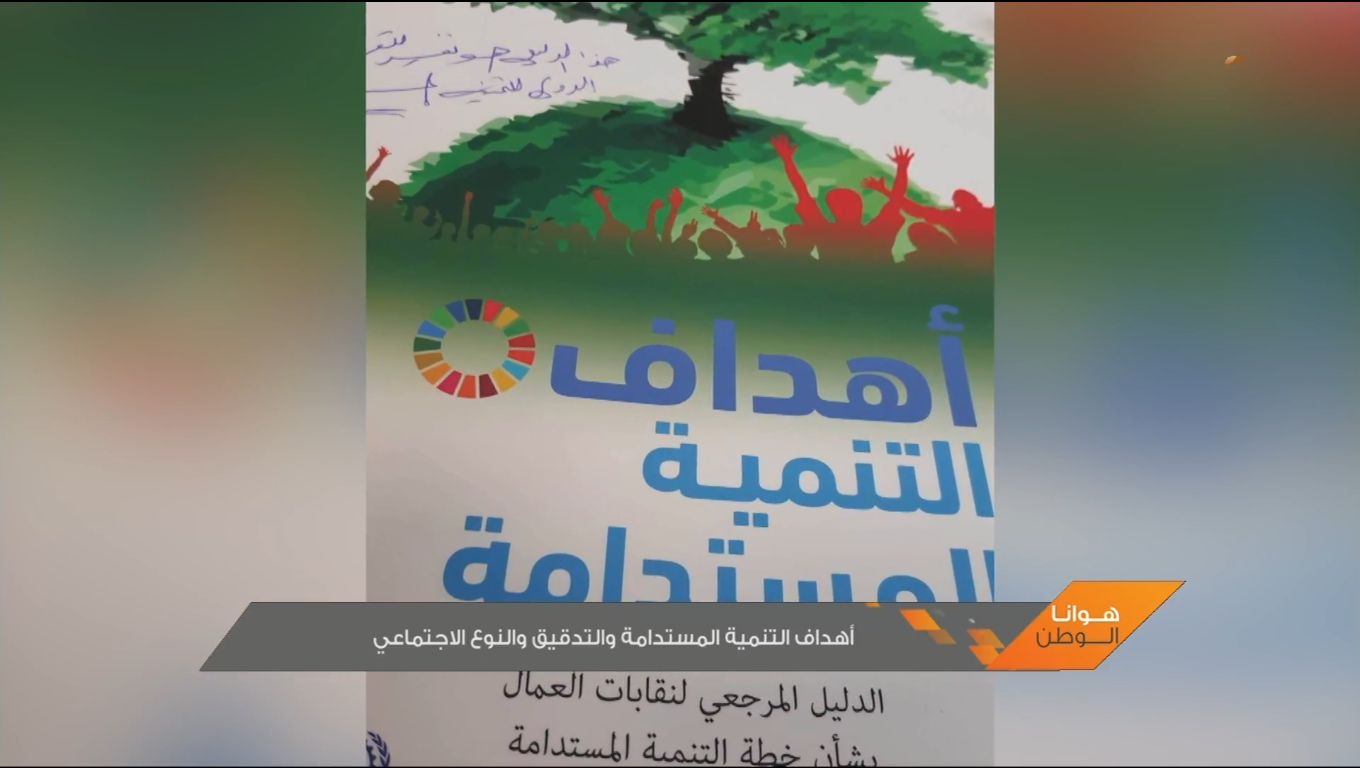 Sustainable Development Goals, Auditing and Gender