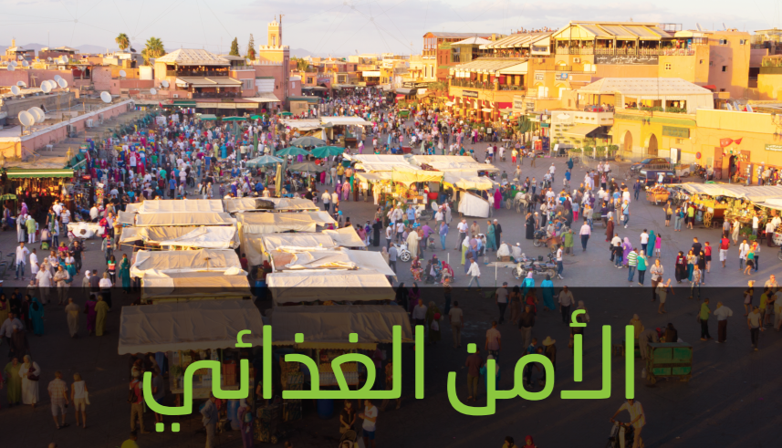واقع الأمن الغذائي في المنطقة العربية