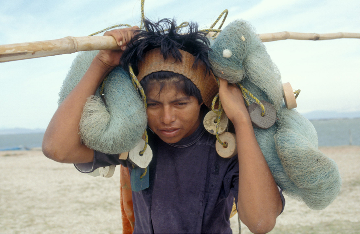 Promoting Youth Employment and Reducing Child Labour In Agriculture