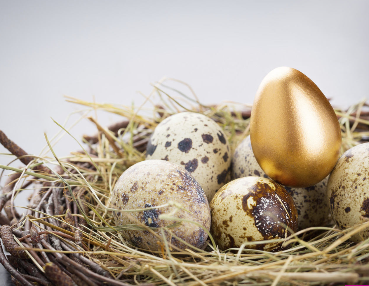Challenging Wealth and Income Inequality