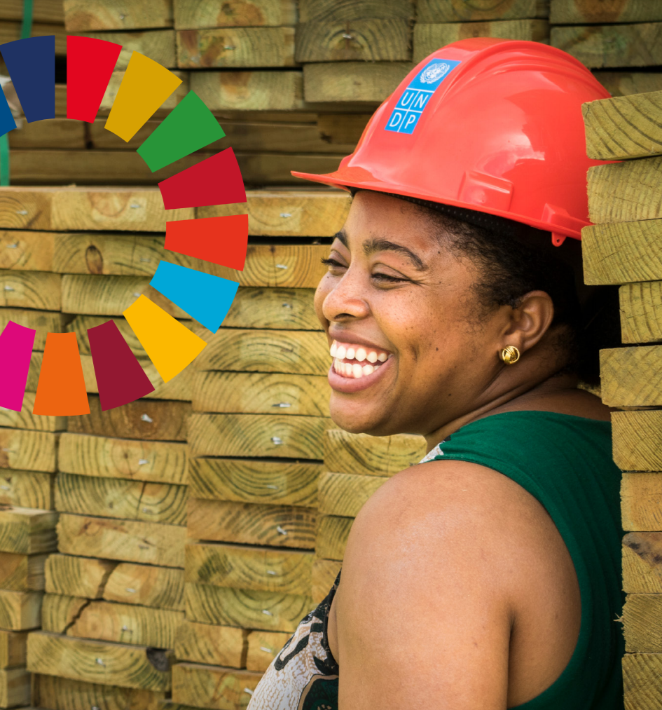 The 2030 Agenda in Action – What does it mean? 