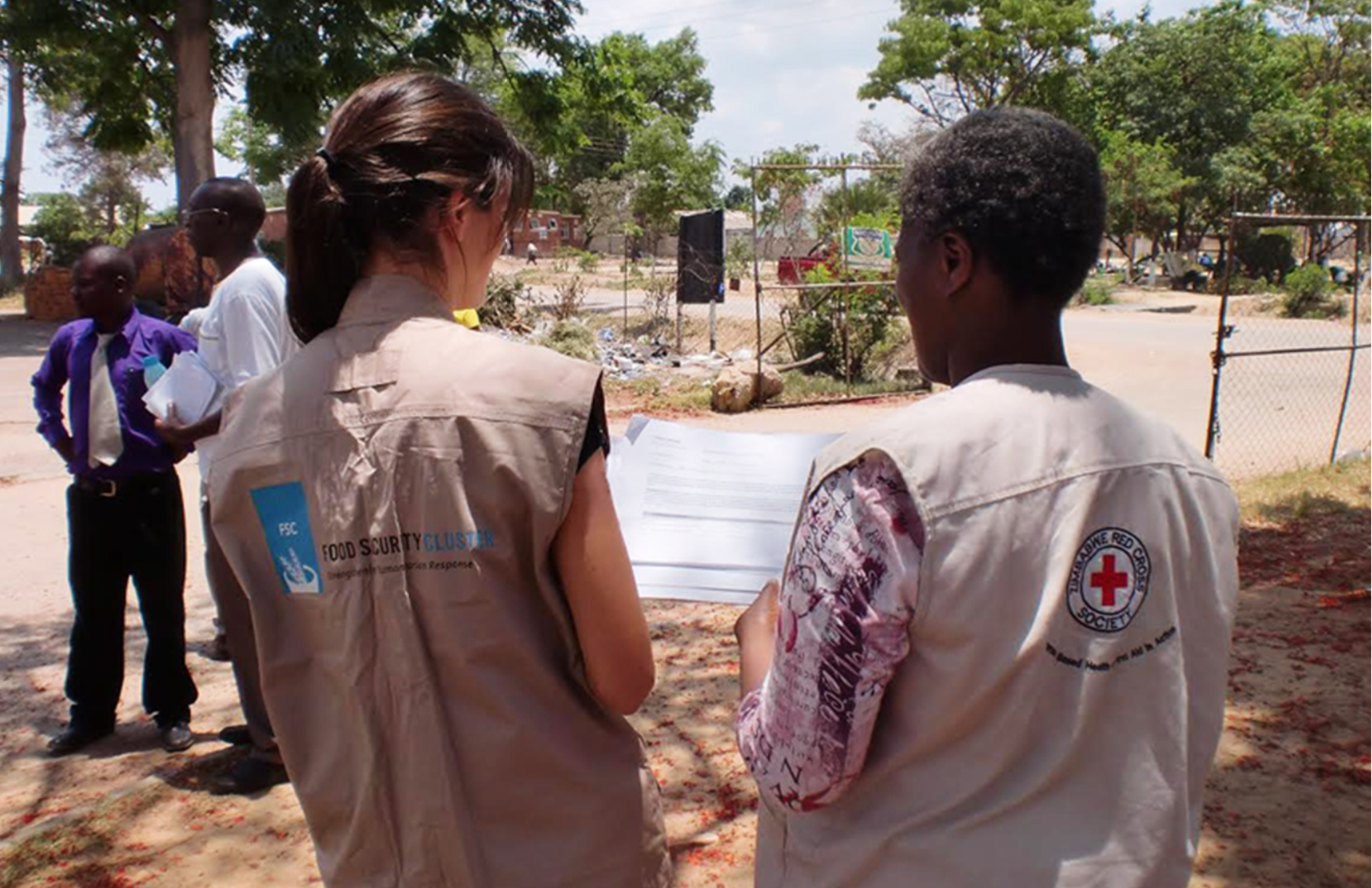 Enhancing Efficiency and Effectiveness of Food Security Cluster Coordination