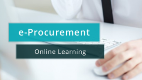 E-Procurement Learning