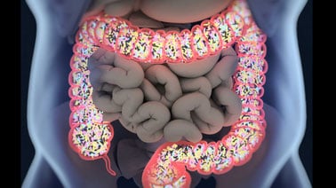 Human Microbiome