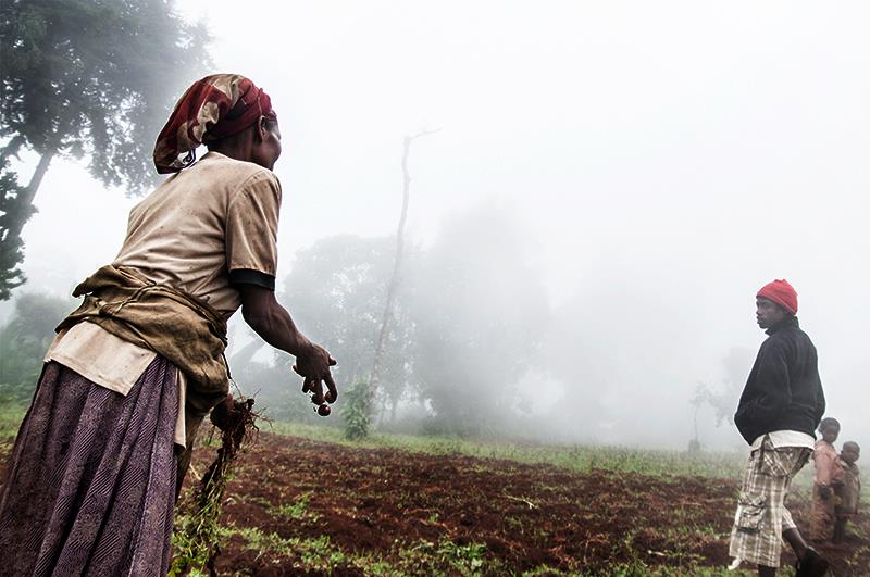 Re-Thinking Gender in Social Development