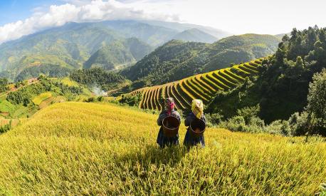 Landscape Governance: Collaborating Across Sectors and Scales