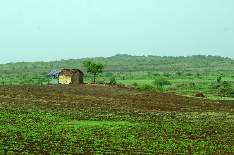 Sustainability Training and E-Learning Program (STEP)