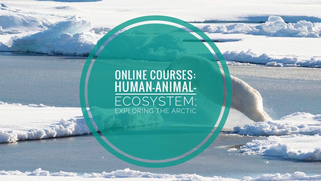 Global Health At The Human-Animal-Ecosystem Interface