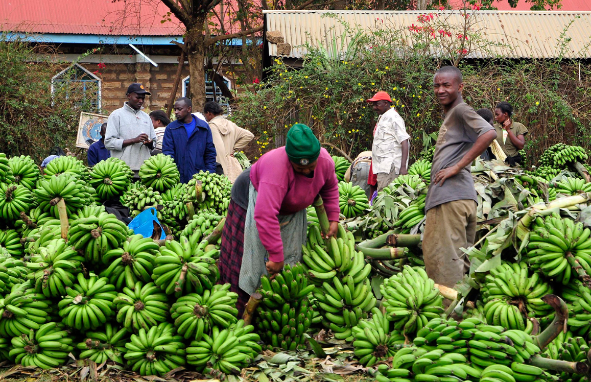 Improving Nutrition through Agriculture and Food Systems