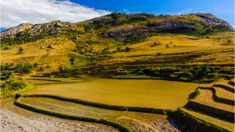 Greenhouse Gas Accounting Tools for Sustainable Land Management