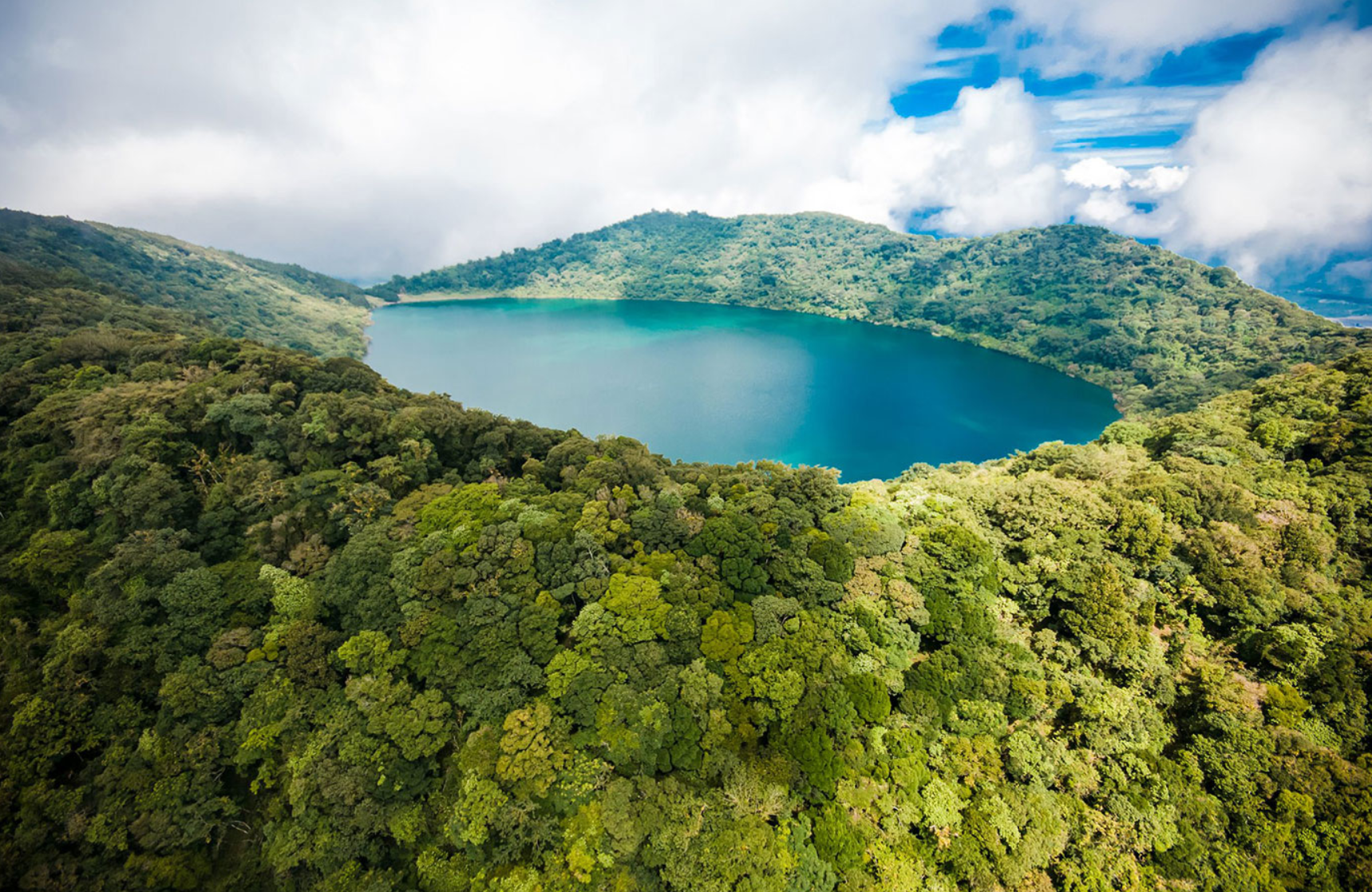 Forest Area and Sustainable Forest Management