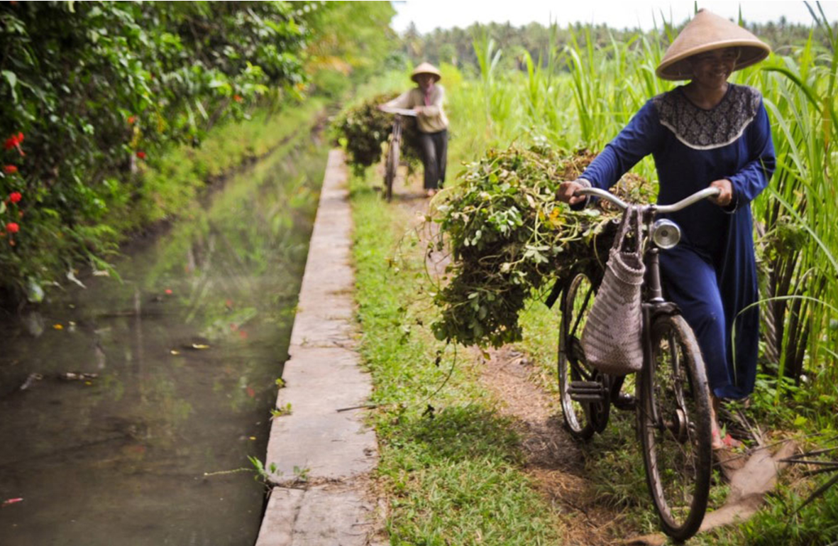 Climate-Smart Crop Production