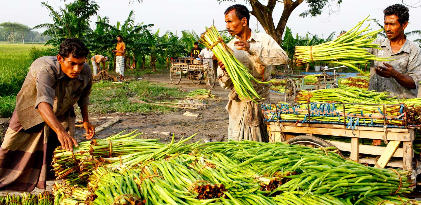 To tackle climate change, we need to invest in smallholder farmers