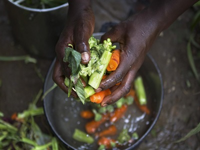 Introduction to Nutrition