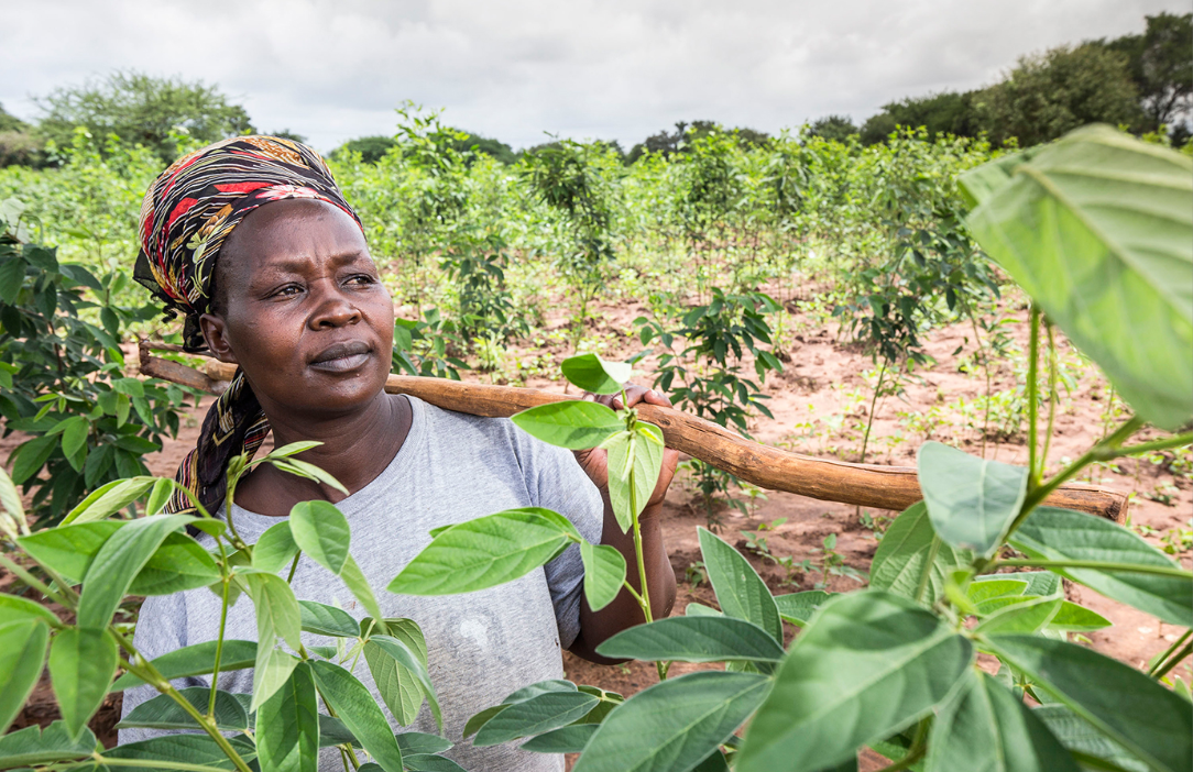 How to monitor and promote policy changes on governance of tenure