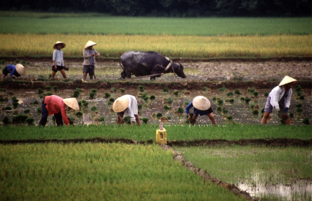 Plant and Animal Genetic Resources