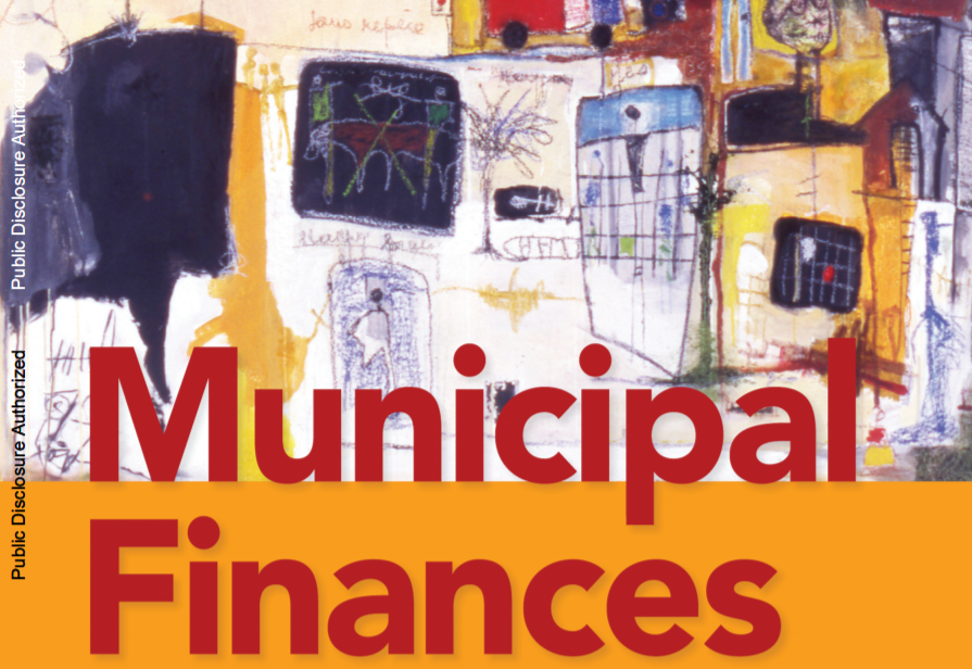 Municipal Finances - A Learning Program for Local Governments