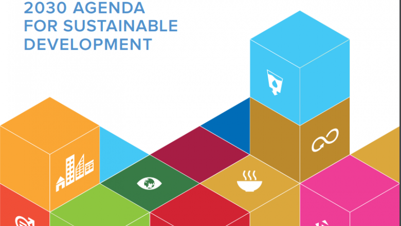 Foundational primer on the 2030 agenda for Sustainable Development