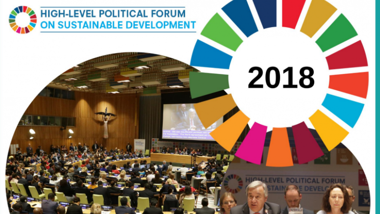 Synthesis of Voluntary National Reviews 2018