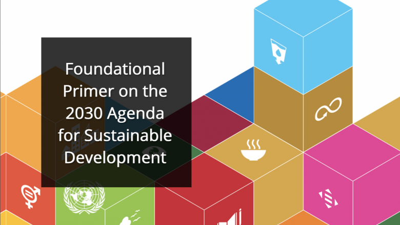 Foundational Primer on the 2030 Agenda for Sustainable Development