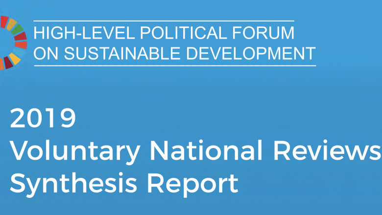 Synthesis of Voluntary National Reviews 2019
