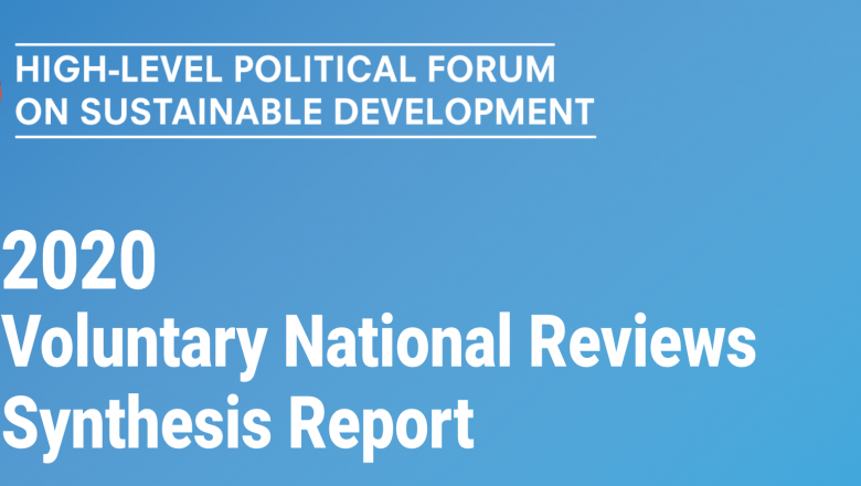 Synthesis of Voluntary National Reviews 2020