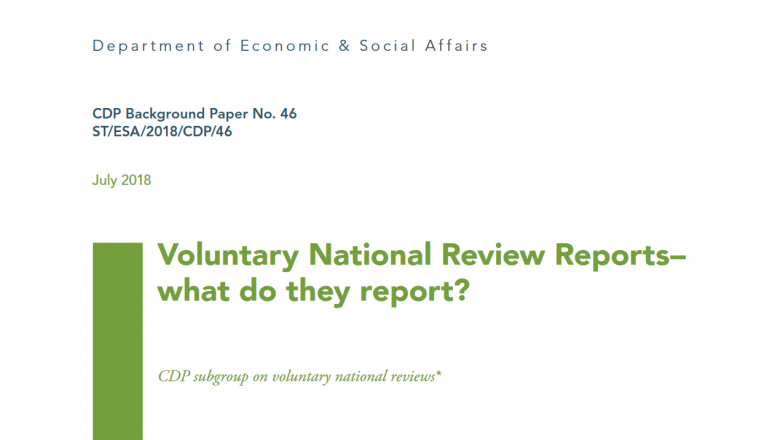 Voluntary National Review Reports –  What Do They Report?