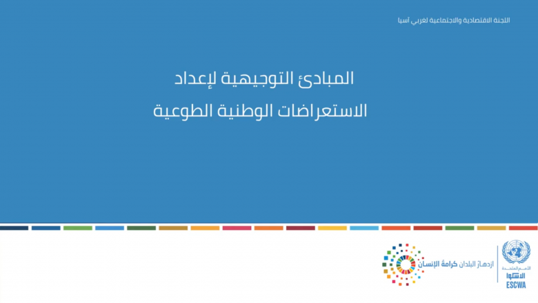 Recorded presentation on the Guidelines on Voluntary National Reviews