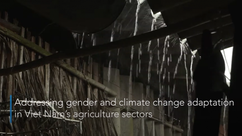 Addressing gender and climate change adaptation in Viet Nam’s agriculture sectors