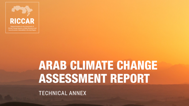 Arab Climate Change Assessment Report: Technical Annex