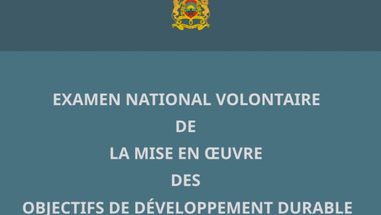 Morocco's 2020 Voluntary National Review