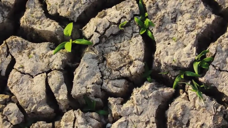 Looking Into Security To Make Climate Action
