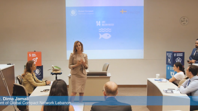 SDG 14 Life Below Water Focus Group