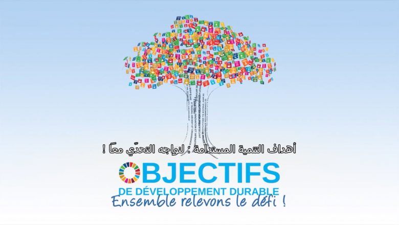 Sustainable Development Goals: Let's face the challenge together!