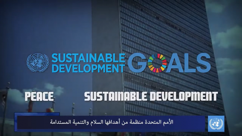 The seventeen Sustainable Development Goals (SDGs)