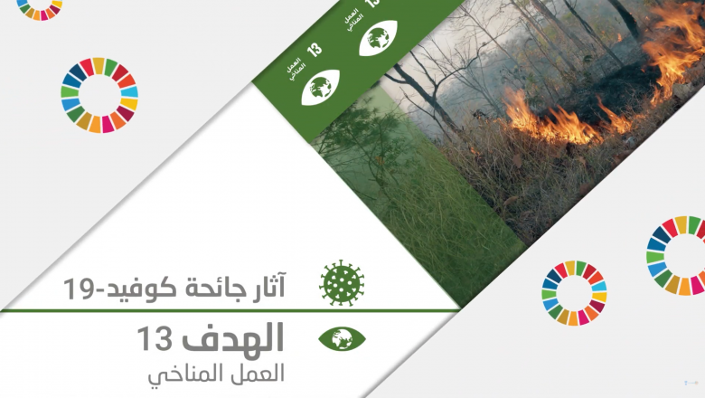 النهوض بالعمل المناخي من أجل تحقيق تعافٍ أخضر