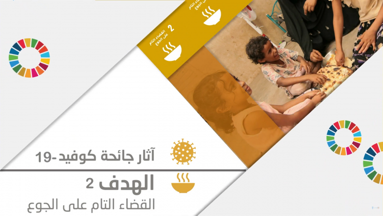 تحقيق الأمن الغذائي في المنطقة العربية بحلول عام 2030