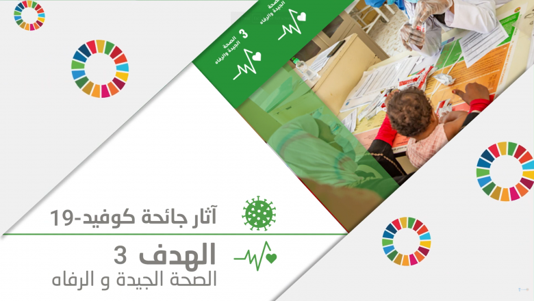 Towards more resilient health systems in the Arab region