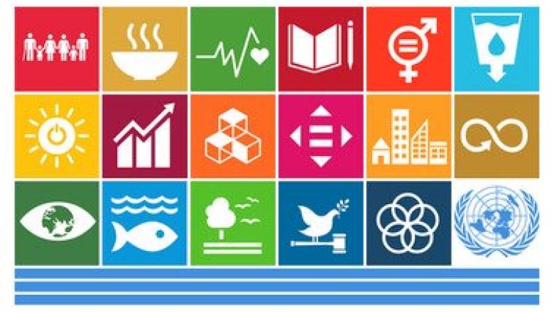 The UN SDGs
