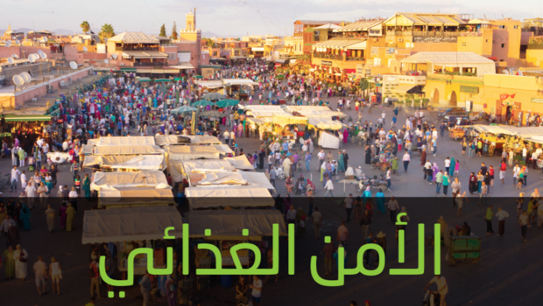 واقع الأمن الغذائي في المنطقة العربية