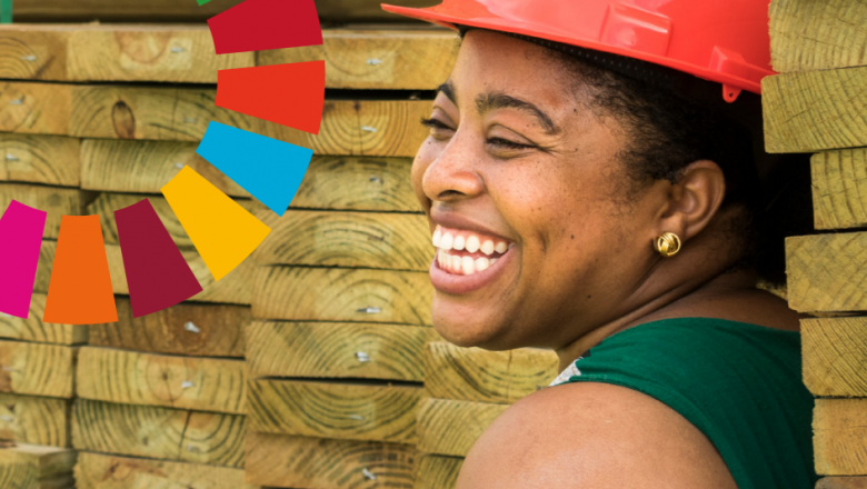 The 2030 Agenda in Action – What does it mean? 