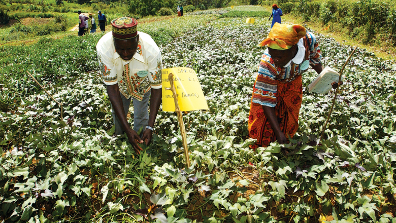 Governing land for women and men