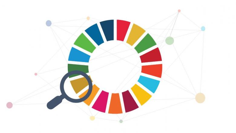 المتابعة والتقارير والاستعراضات الوطنية الطوعية