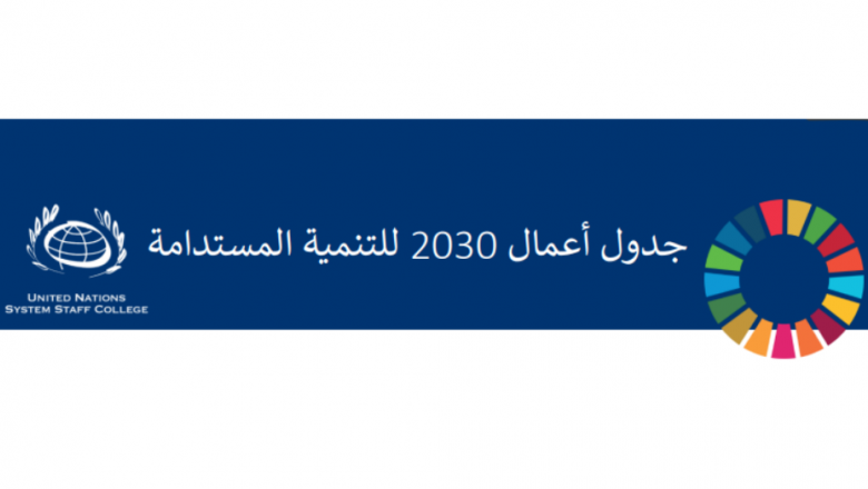 خطة التنمية المستدامة لعام 2030