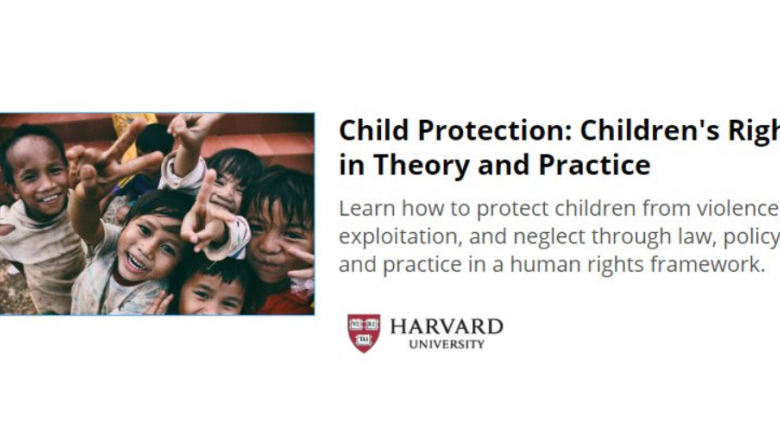 Children's Rights in Theory and Practice