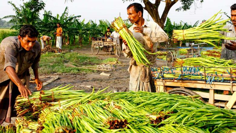 To tackle climate change, we need to invest in smallholder farmers