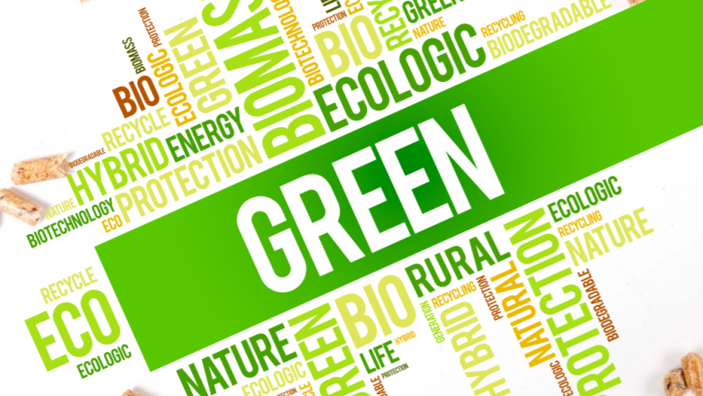 Biomass Energy Service-based Rural Energy Entrepreneurship